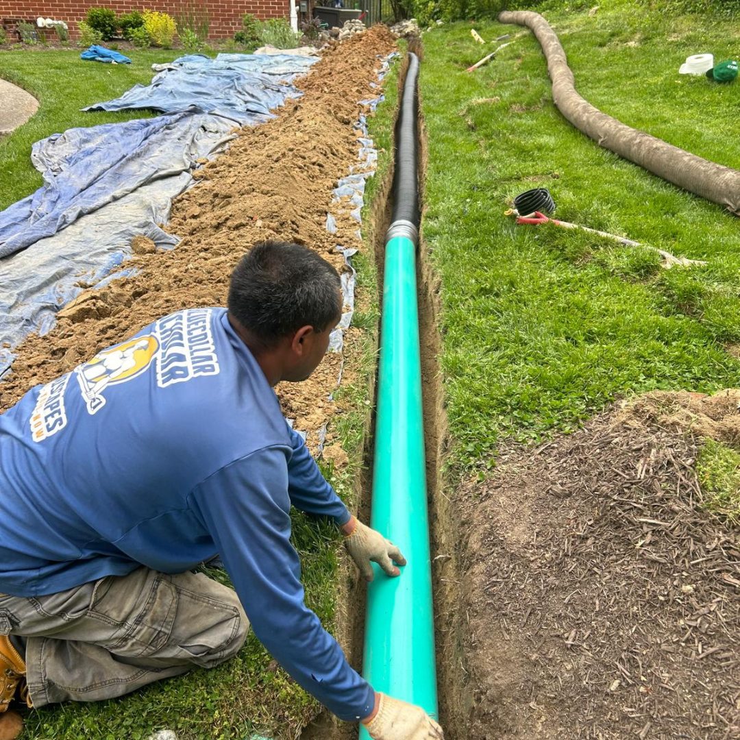Yard Drainage Contractors in MD, DC, & VA | Expert Solutions | Blue ...